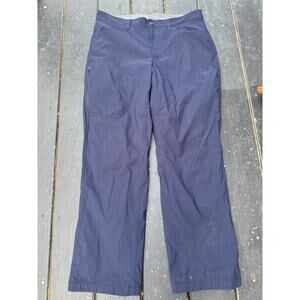 Eddie Bauer Pants 34x30 Mens Rainier Cargo Gorpcore Fleece Lined Stretch Blue